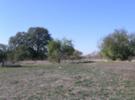 Invest in Your Dream- 18-Acre Raw Land Multi-Use Property Perfect for Building